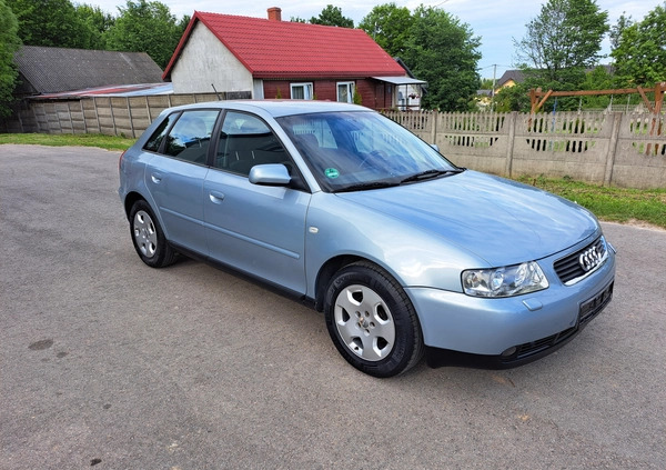 Audi A3 cena 8900 przebieg: 252829, rok produkcji 2001 z Rypin małe 137